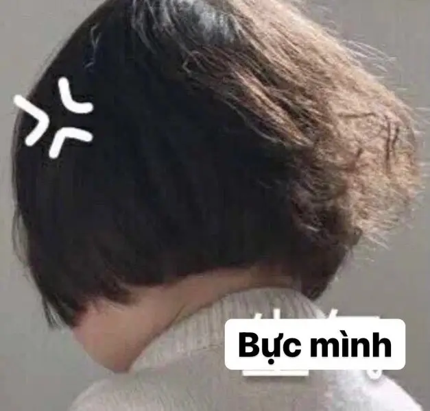 Tức giận meme 18