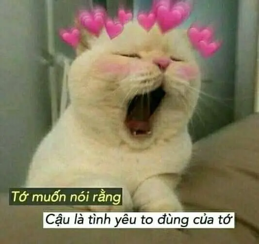 Meme thả thính 04