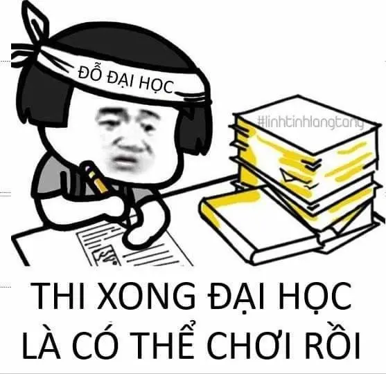 Meme học bài 22