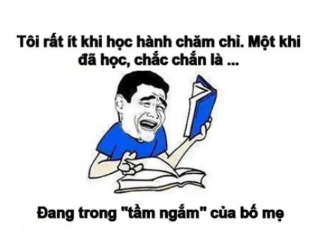 Meme học bài 12