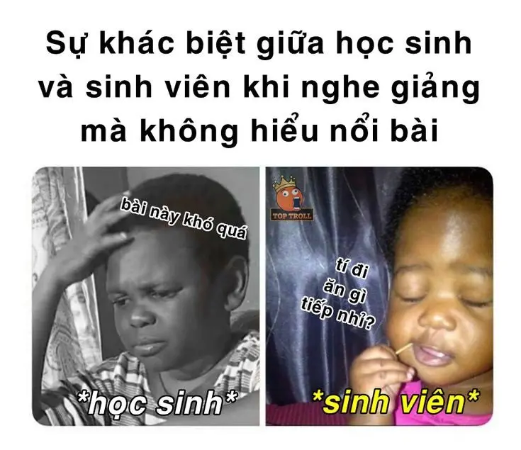 Meme học bài 14