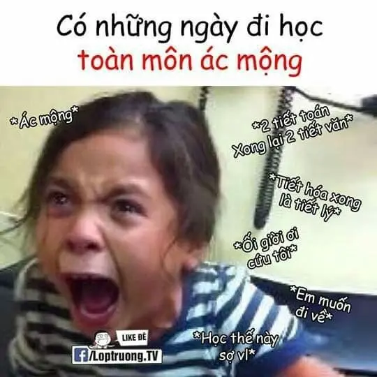 Meme học bài 16