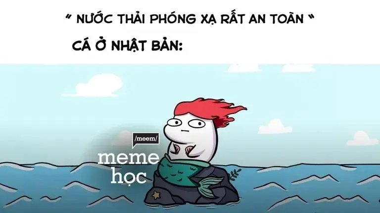 Meme học bài 17