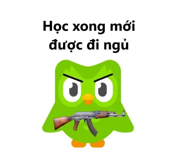 Meme học bài 19