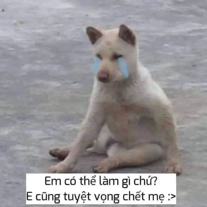 Meme tuyệt vọng 10