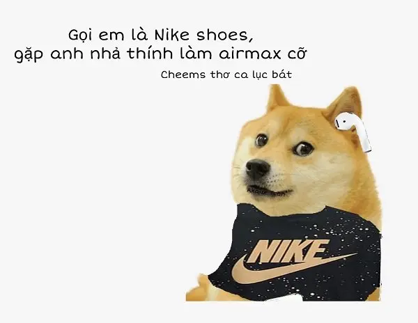 Meme shiba 25