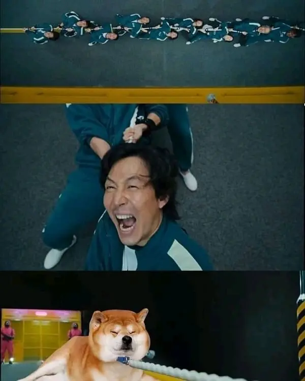 Meme shiba 30