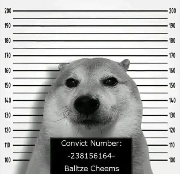 Meme shiba 11