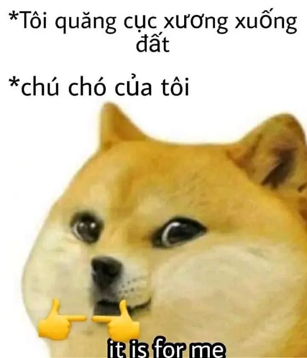 Meme shiba 14