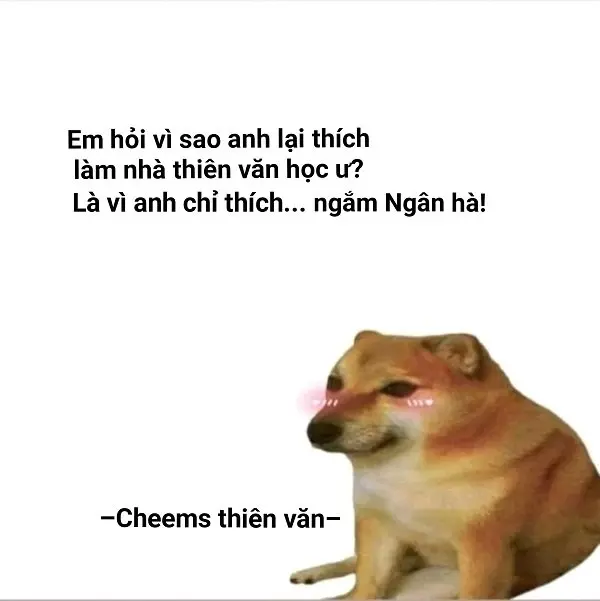 Meme shiba 32