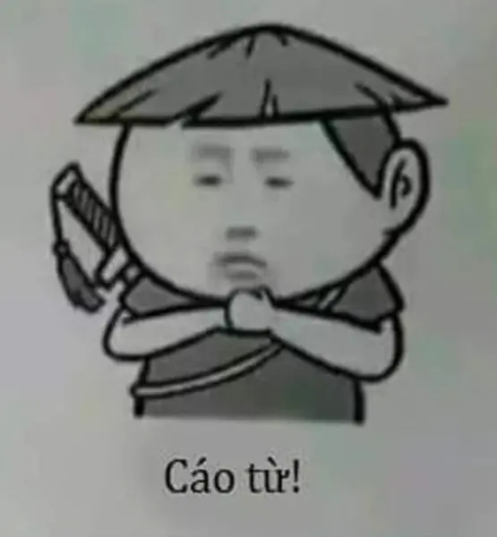 Cáo từ meme 19