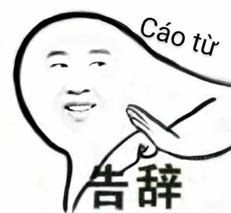 Cáo từ meme 24