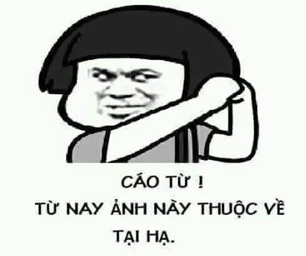 Cáo từ meme 25