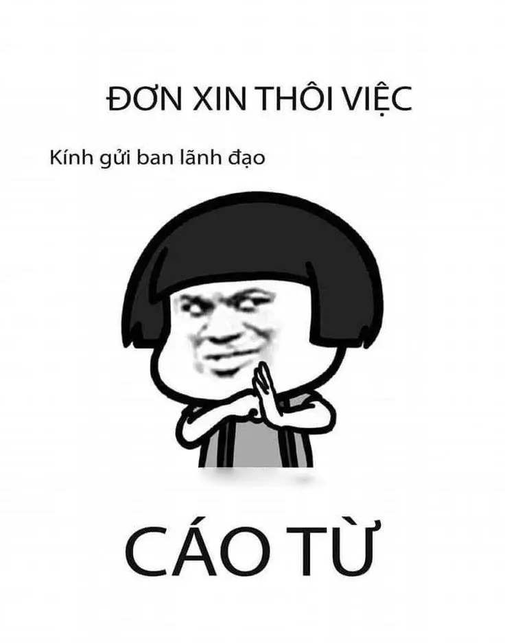 Cáo từ meme 27