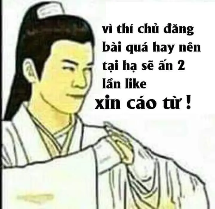 Cáo từ meme 28