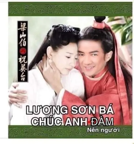 Meme Đàm Vĩnh Hưng 13