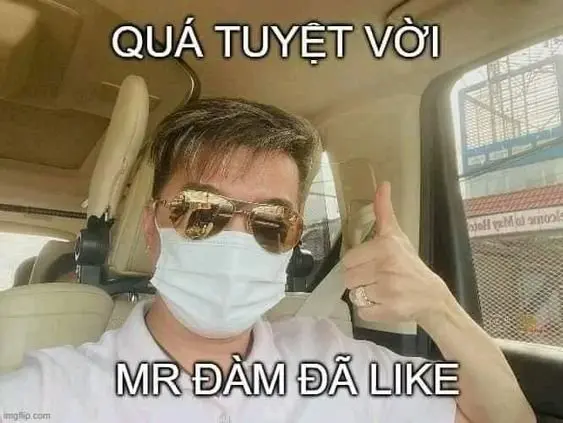 Meme Đàm Vĩnh Hưng 14