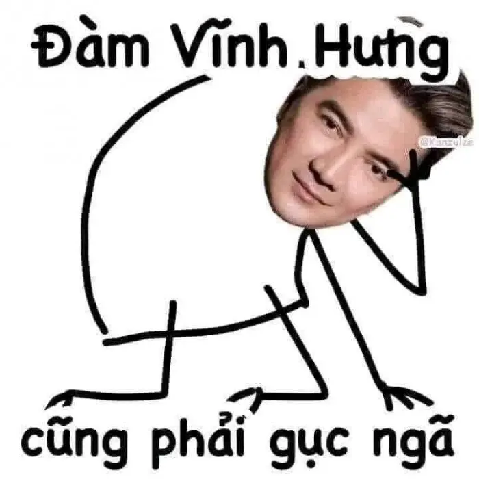 Meme Đàm Vĩnh Hưng 15