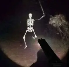 Skeleton meme 07