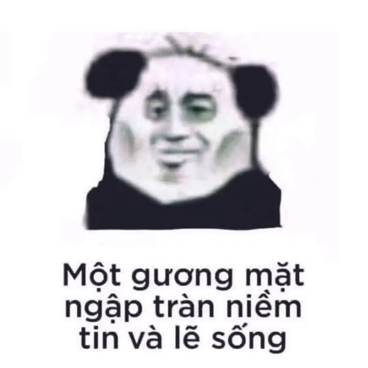 Meme khịa 79