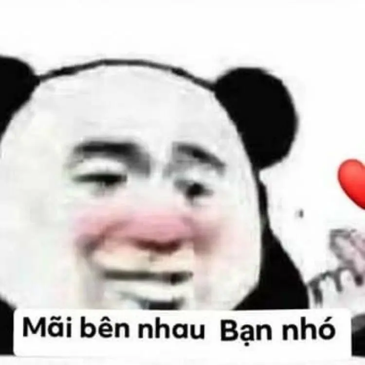 Meme khịa 67