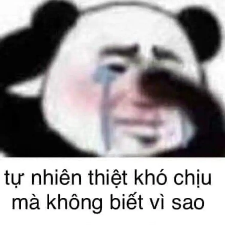 Meme khịa 77