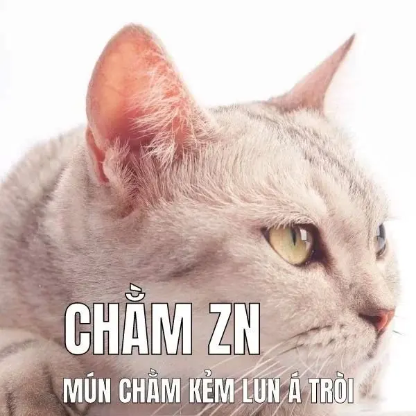 Meme trầm cảm 35