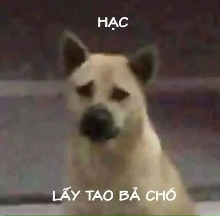 Meme trầm cảm 36