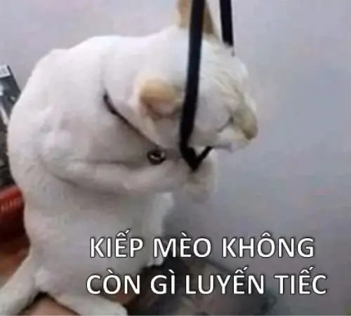 Meme trầm cảm 37