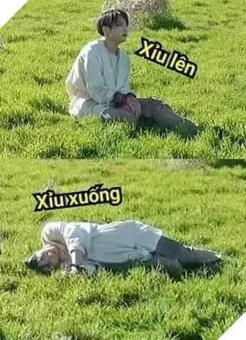 Meme xỉu 05