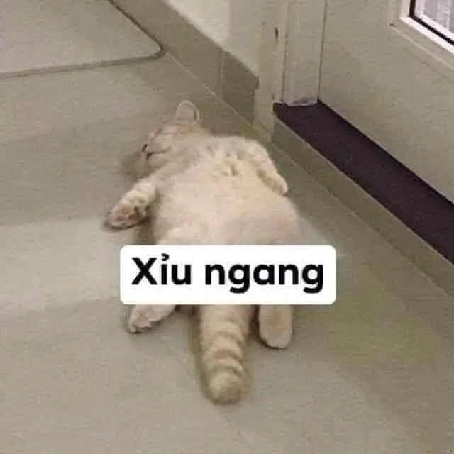 Meme xỉu 03