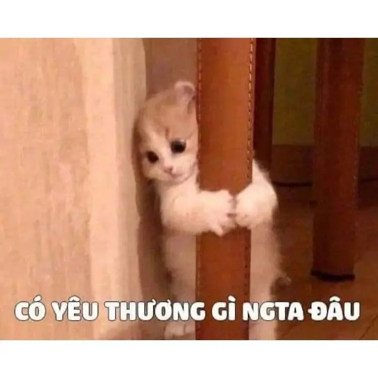 Meme tình yêu 49