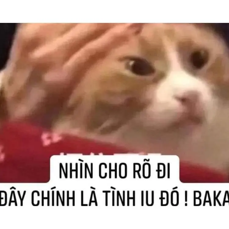 Meme tình yêu 58