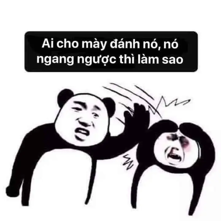 Meme đấm nhau 16