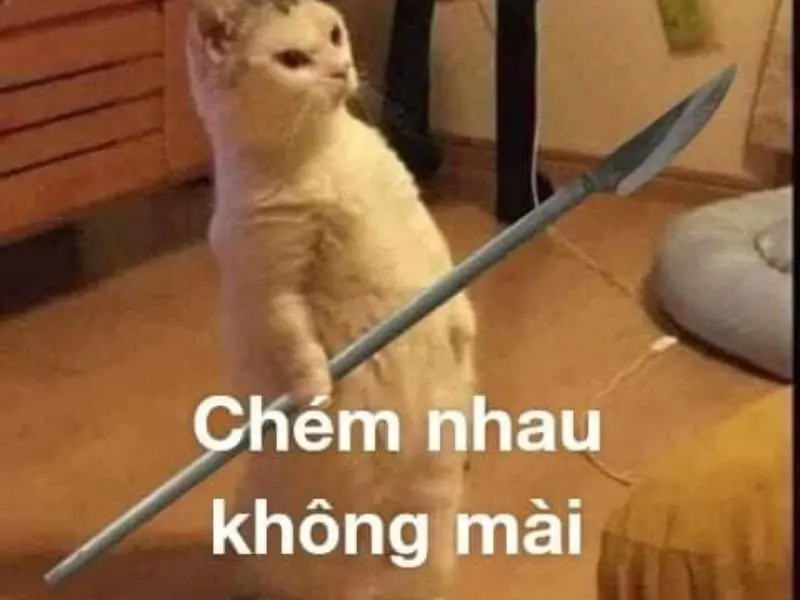 Meme đấm nhau 33