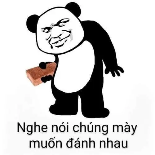 Meme đấm nhau 36