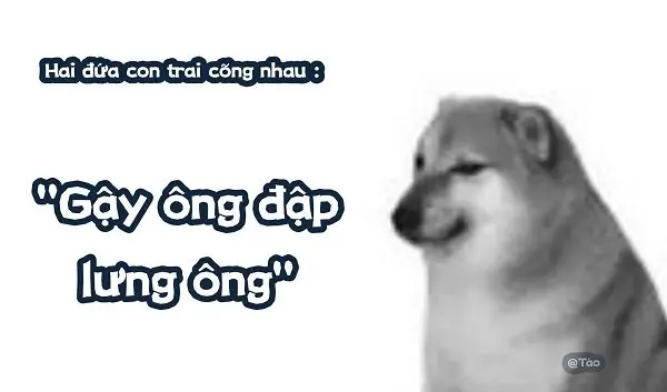 Meme doge 11