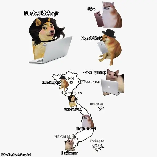 Meme doge 13