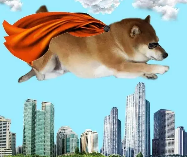 Meme doge 20