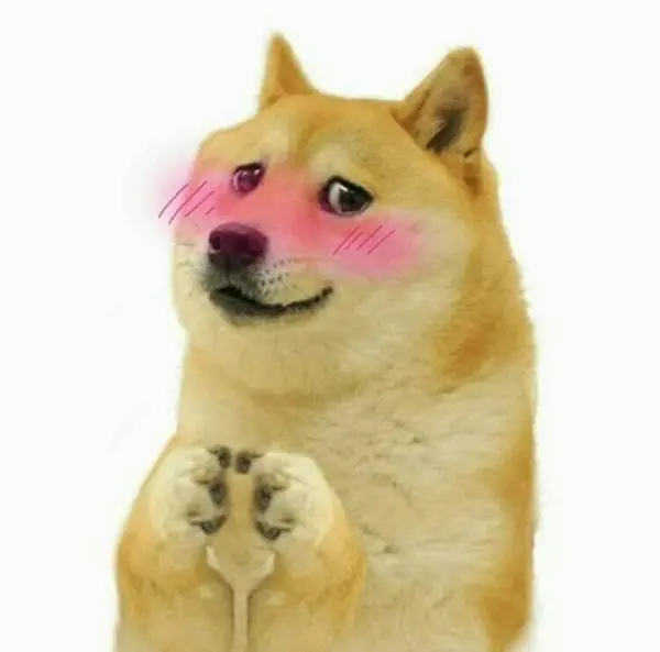 Meme doge 29