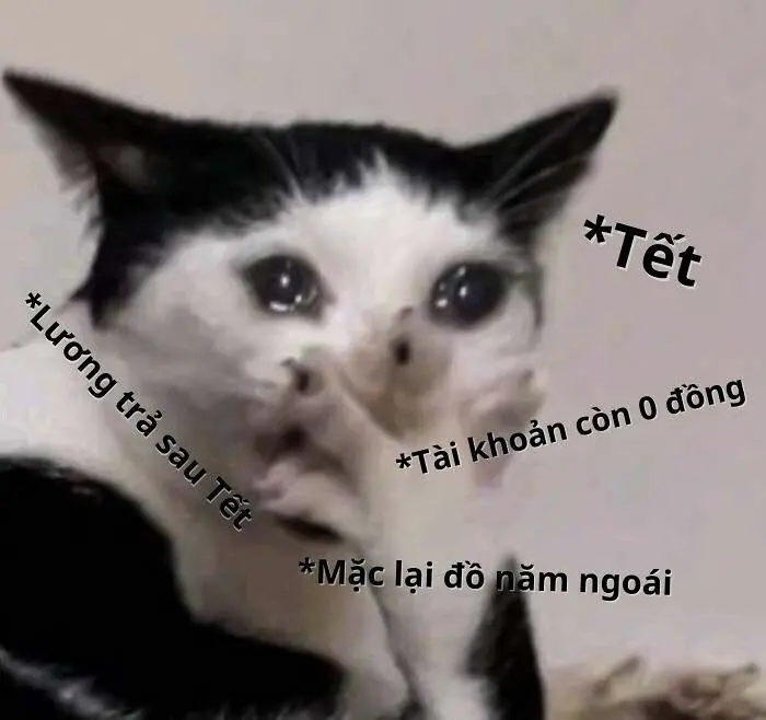 Meme hết tiền 04