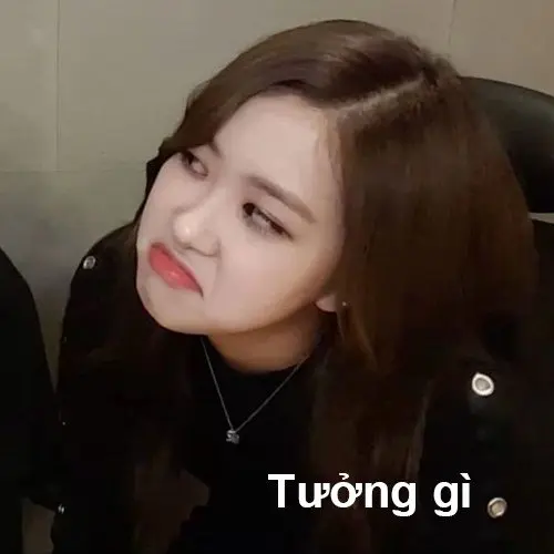 Meme blackpink 25