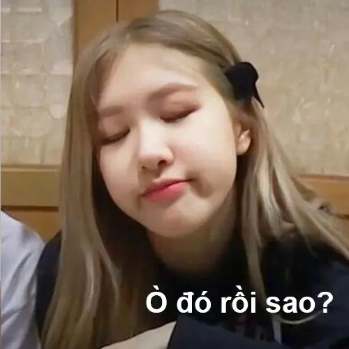 Meme blackpink 27