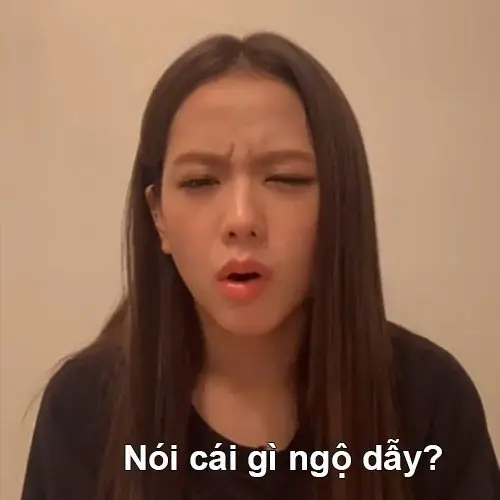 Meme blackpink 04