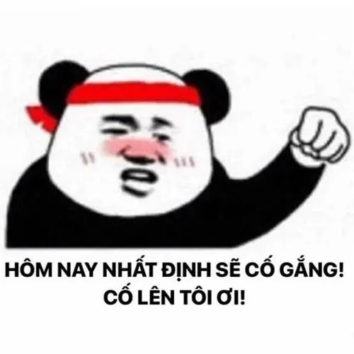 Meme cố lên 19