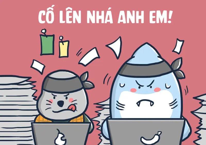 Meme cố lên 30