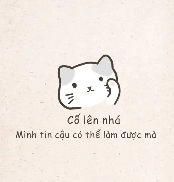 Meme cố lên 31