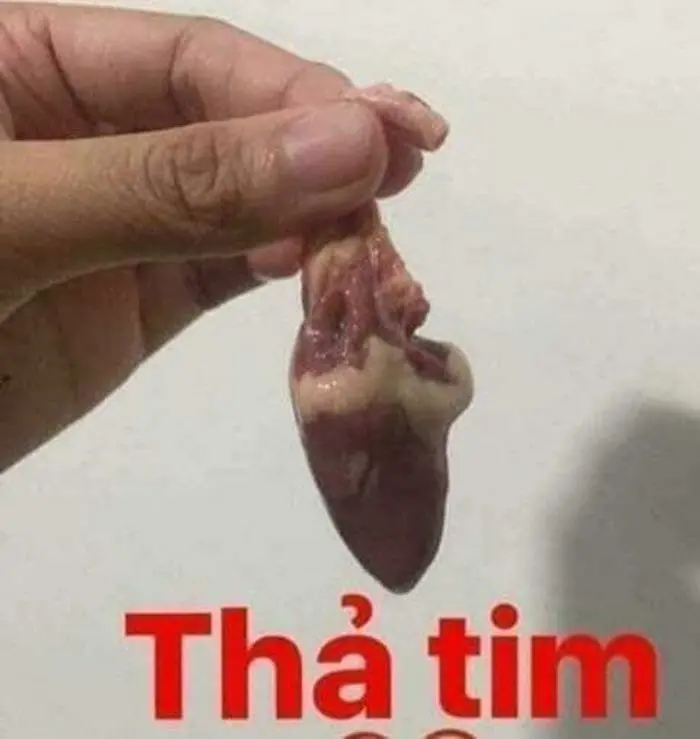 Meme thả tim 17