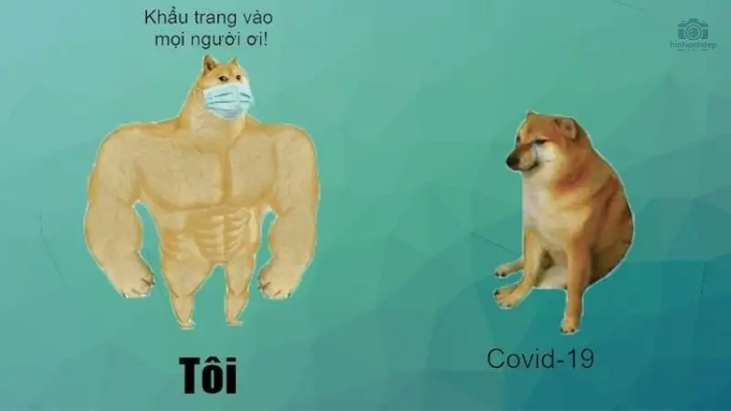 Sưu tầm ngay về máy 99+ ảnh meme vô tri hài hước nhất