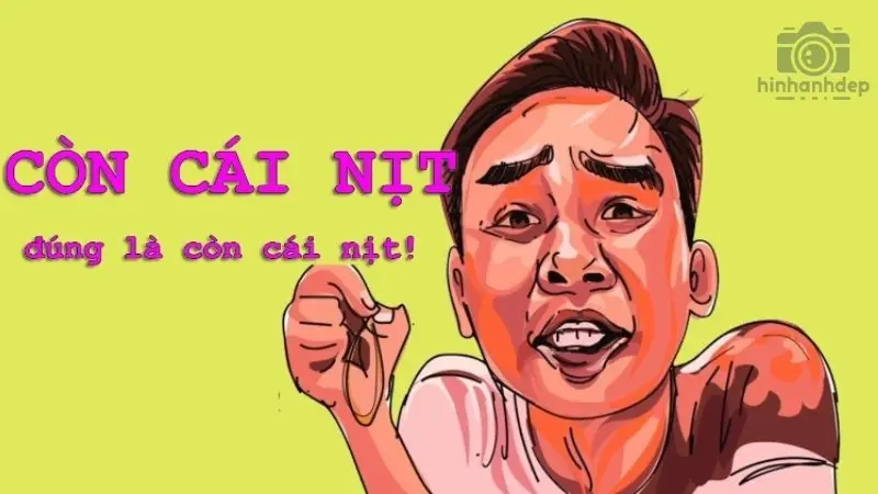 Sưu tầm ngay 30+ có cái nịt meme hài hước và thú vị nhất